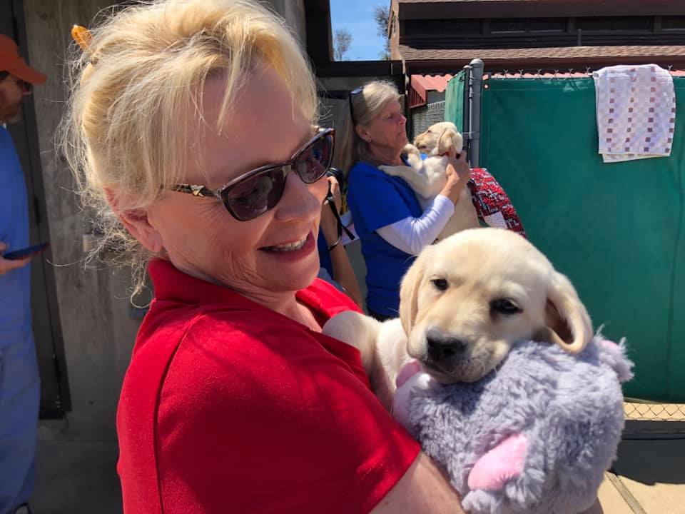 57034702_10217094065056671_2330565124437311488_n